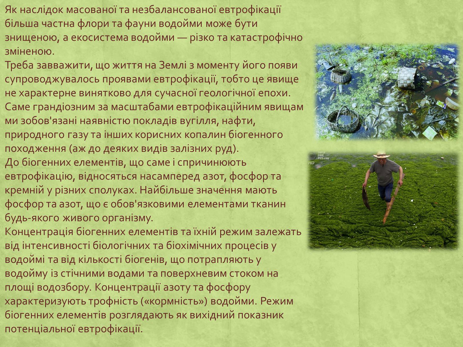 Презентація на тему «Екологія» (варіант 3) - Слайд #43 Презентація на тему «Екологія» (варіант 3) - Слайд #43