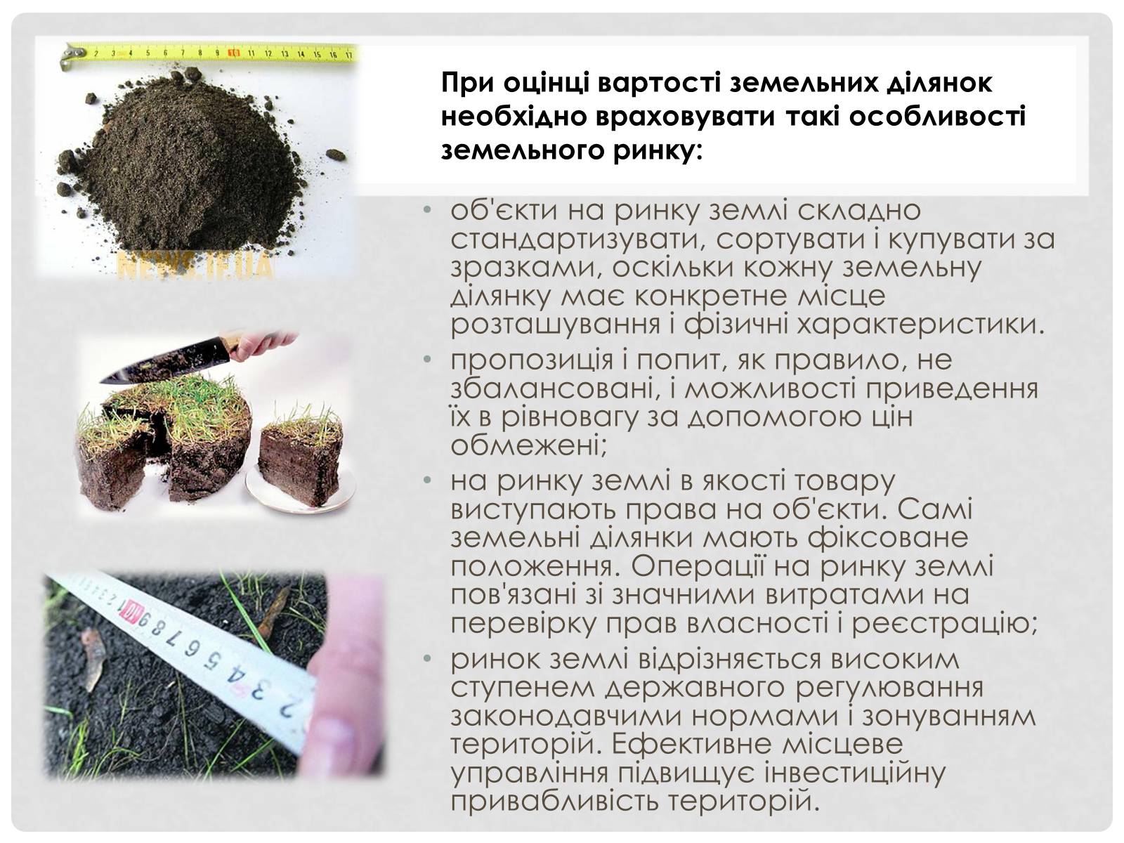 Презентація на тему «Ринок землі та його особливості» - Слайд #5 Презентація на тему «Ринок землі та його особливості» - Слайд #5