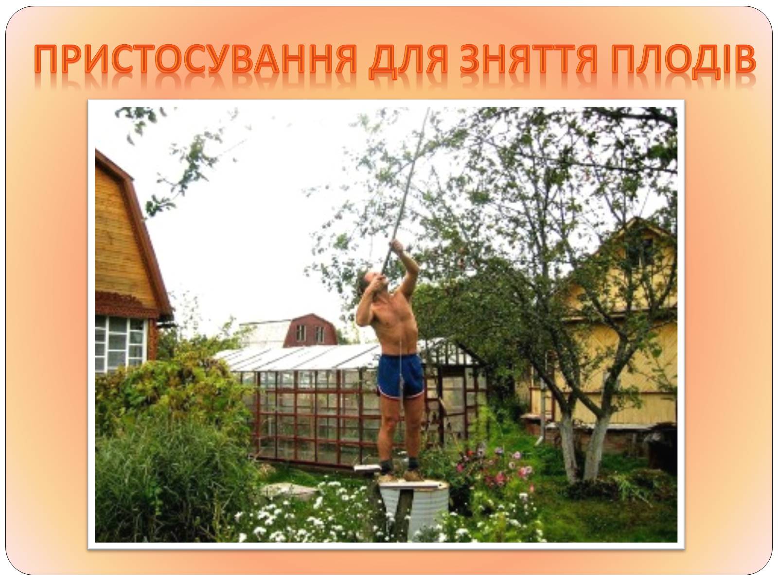 Презентація на тему «Друге життя пластикових пляшок» - Слайд #4 Презентація на тему «Друге життя пластикових пляшок» - Слайд #4