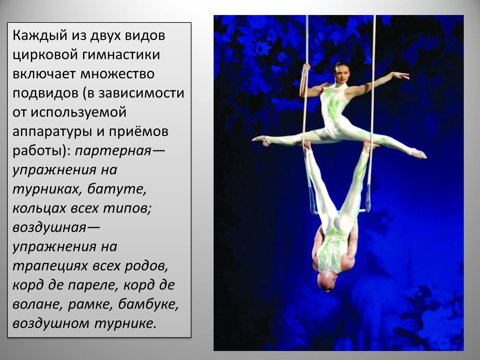 Презентація на тему «Гимнастика» - Слайд #11 Презентація на тему «Гимнастика» - Слайд #11