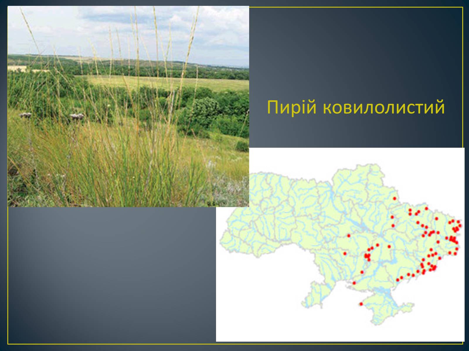 Презентація на тему «Екологічна ситуація в Україні» (варіант 1) - Слайд #105 Презентація на тему «Екологічна ситуація в Україні» (варіант 1) - Слайд #105