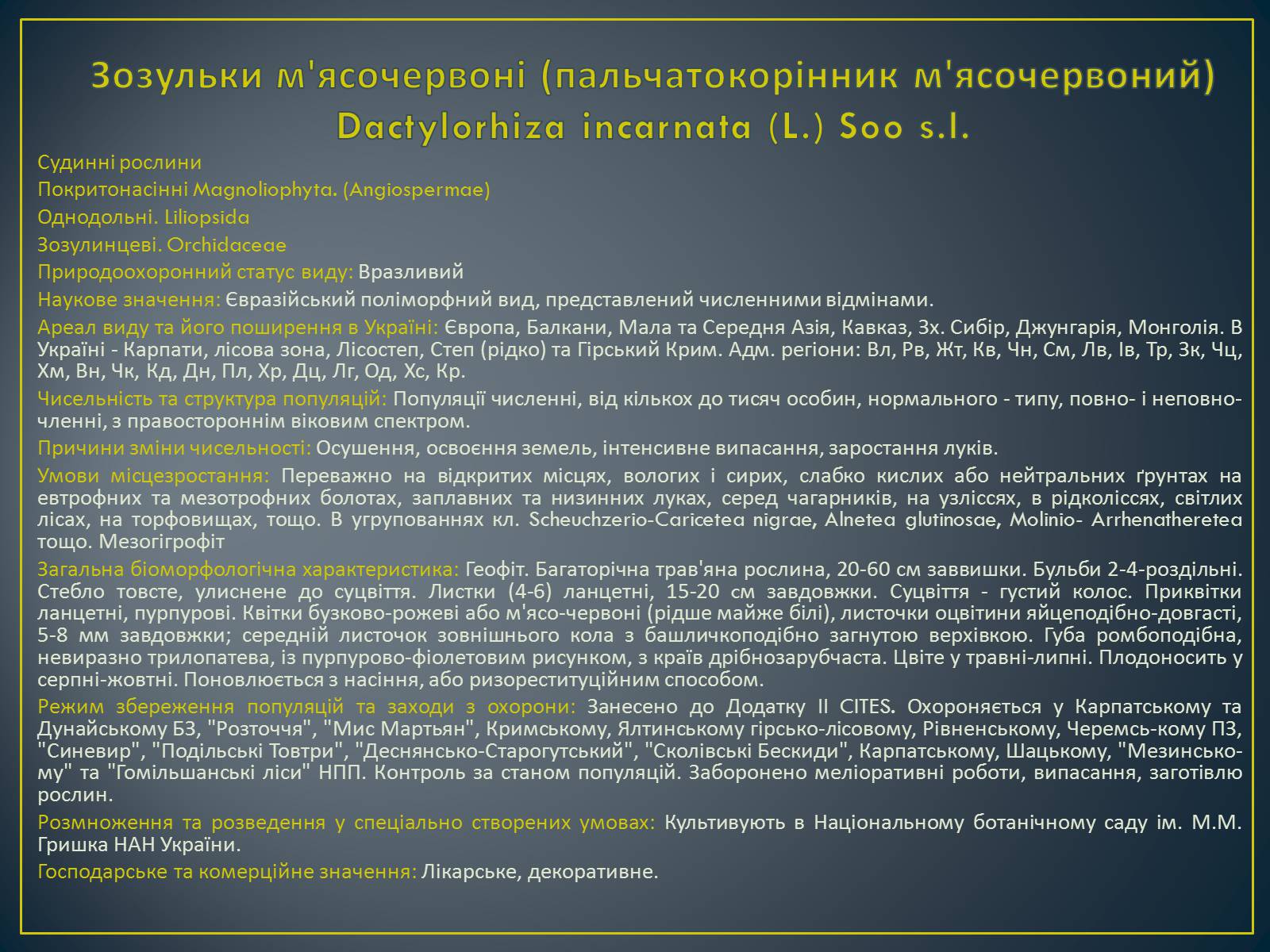 Презентація на тему «Екологічна ситуація в Україні» (варіант 1) - Слайд #106 Презентація на тему «Екологічна ситуація в Україні» (варіант 1) - Слайд #106