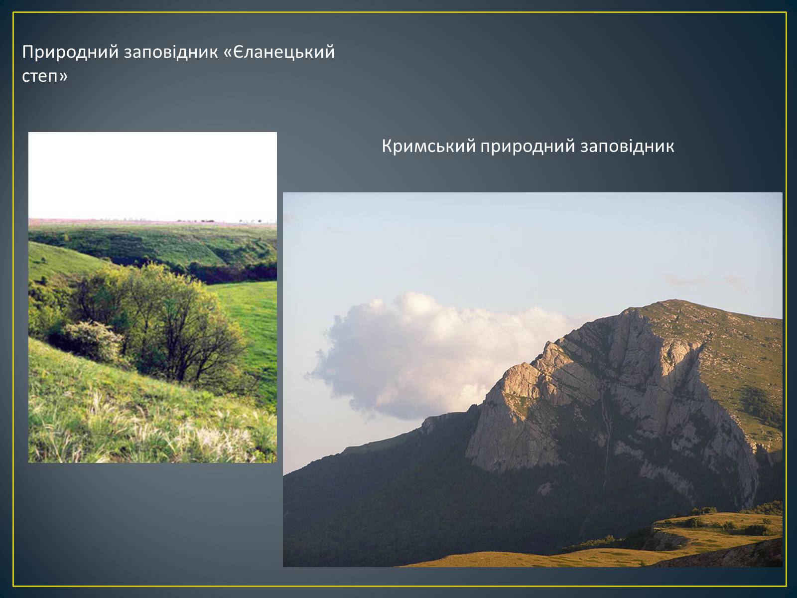 Презентація на тему «Екологічна ситуація в Україні» (варіант 1) - Слайд #22 Презентація на тему «Екологічна ситуація в Україні» (варіант 1) - Слайд #22