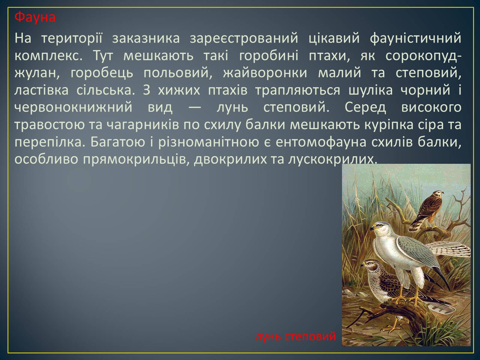 Презентація на тему «Екологічна ситуація в Україні» (варіант 1) - Слайд #36 Презентація на тему «Екологічна ситуація в Україні» (варіант 1) - Слайд #36