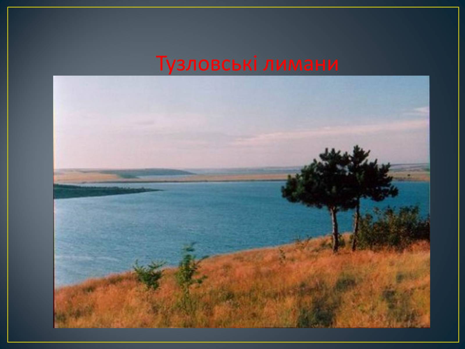 Презентація на тему «Екологічна ситуація в Україні» (варіант 1) - Слайд #42 Презентація на тему «Екологічна ситуація в Україні» (варіант 1) - Слайд #42