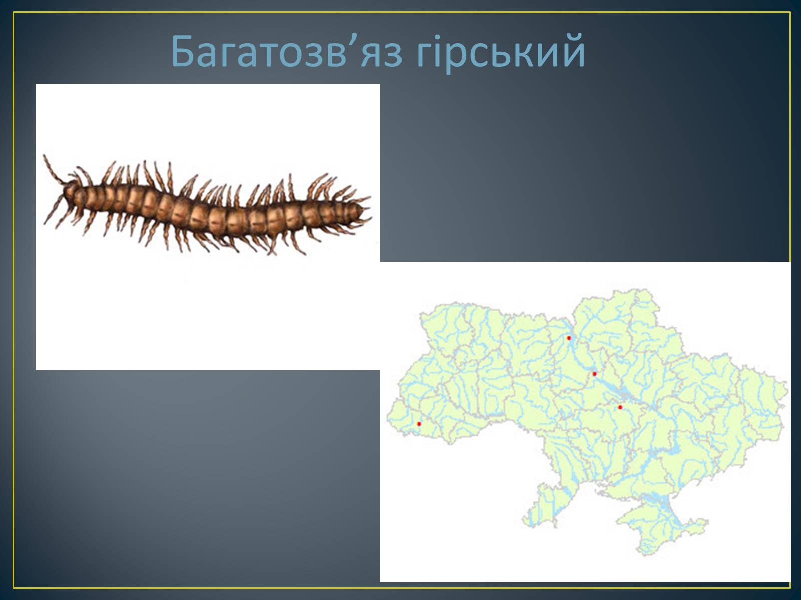 Презентація на тему «Екологічна ситуація в Україні» (варіант 1) - Слайд #58 Презентація на тему «Екологічна ситуація в Україні» (варіант 1) - Слайд #58