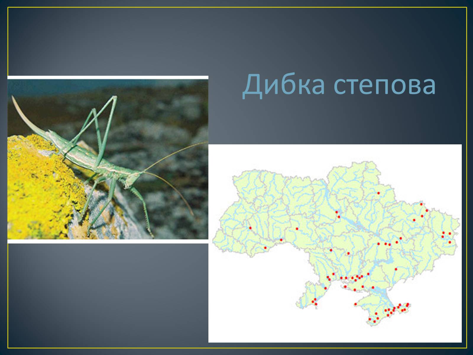 Презентація на тему «Екологічна ситуація в Україні» (варіант 1) - Слайд #66 Презентація на тему «Екологічна ситуація в Україні» (варіант 1) - Слайд #66