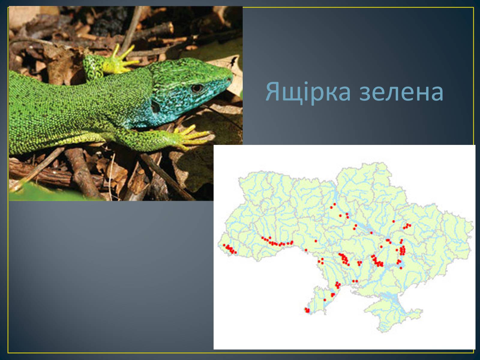 Презентація на тему «Екологічна ситуація в Україні» (варіант 1) - Слайд #71 Презентація на тему «Екологічна ситуація в Україні» (варіант 1) - Слайд #71