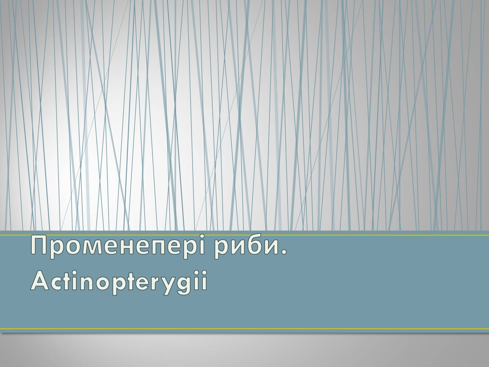 Презентація на тему «Екологічна ситуація в Україні» (варіант 1) - Слайд #72 Презентація на тему «Екологічна ситуація в Україні» (варіант 1) - Слайд #72