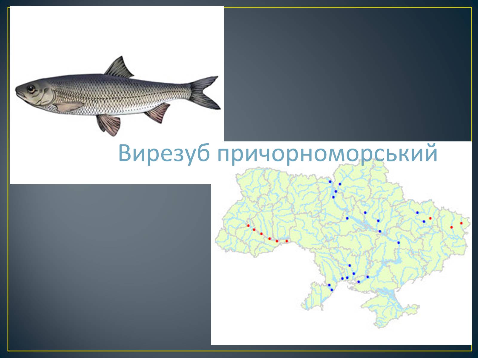Презентація на тему «Екологічна ситуація в Україні» (варіант 1) - Слайд #74 Презентація на тему «Екологічна ситуація в Україні» (варіант 1) - Слайд #74