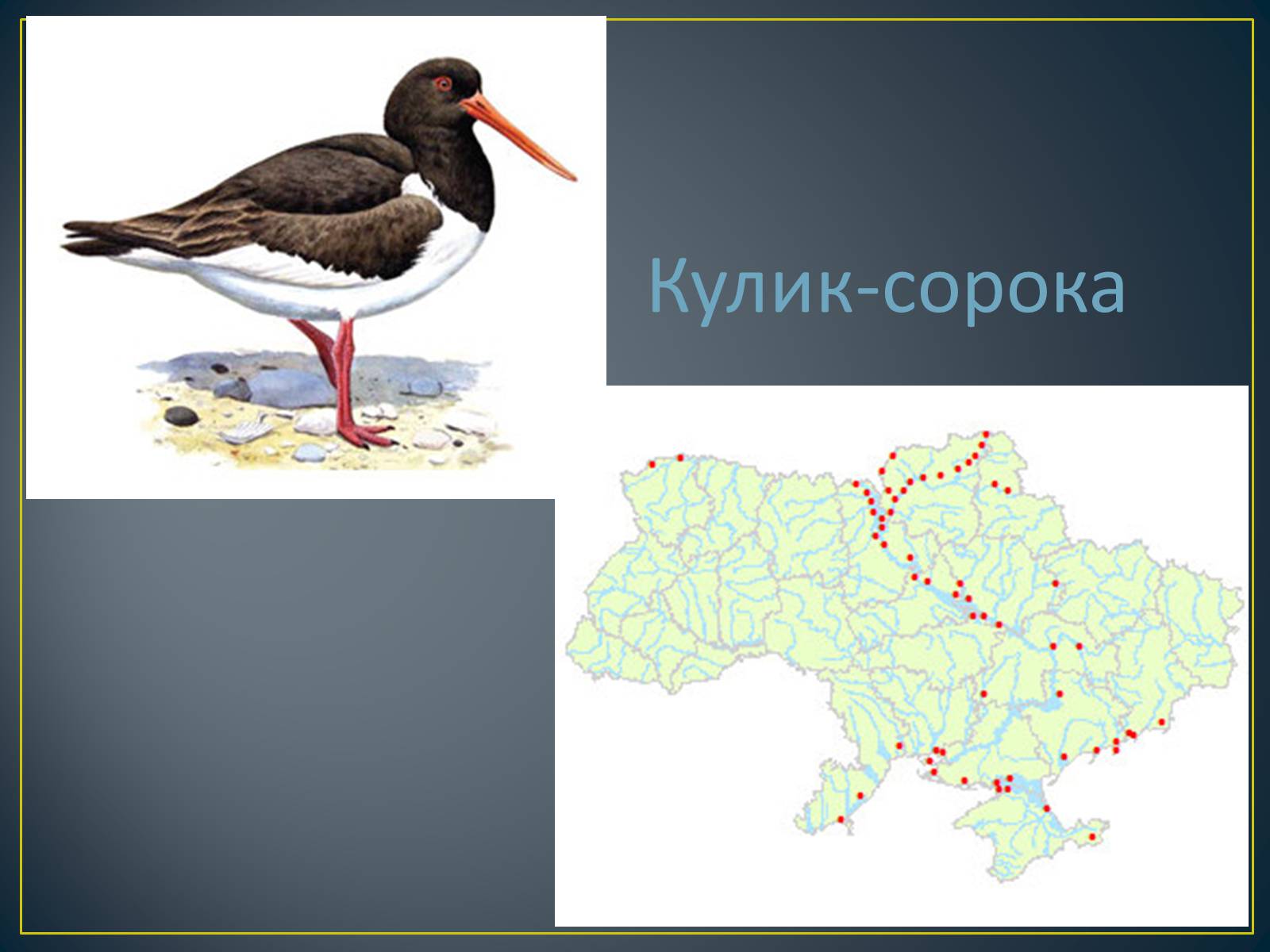 Презентація на тему «Екологічна ситуація в Україні» (варіант 1) - Слайд #78 Презентація на тему «Екологічна ситуація в Україні» (варіант 1) - Слайд #78