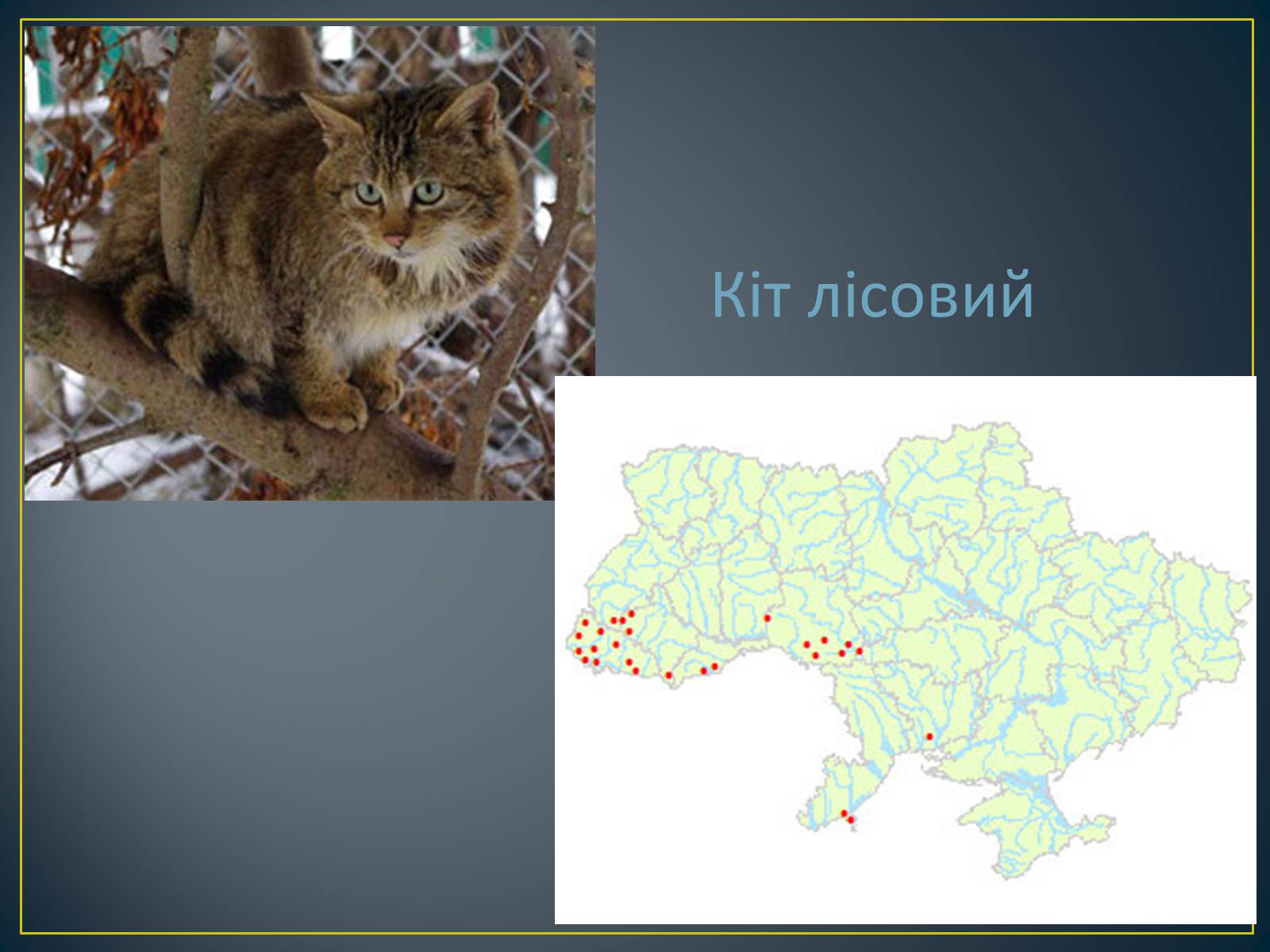 Презентація на тему «Екологічна ситуація в Україні» (варіант 1) - Слайд #82 Презентація на тему «Екологічна ситуація в Україні» (варіант 1) - Слайд #82