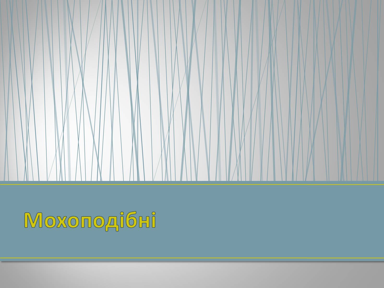 Презентація на тему «Екологічна ситуація в Україні» (варіант 1) - Слайд #95 Презентація на тему «Екологічна ситуація в Україні» (варіант 1) - Слайд #95