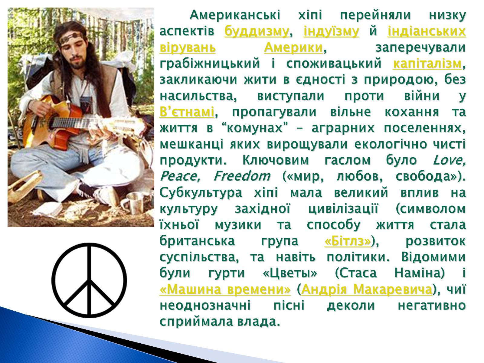 Презентація на тему «Молодіжні субкультури» (варіант 9) - Слайд #7 Презентація на тему «Молодіжні субкультури» (варіант 9) - Слайд #7