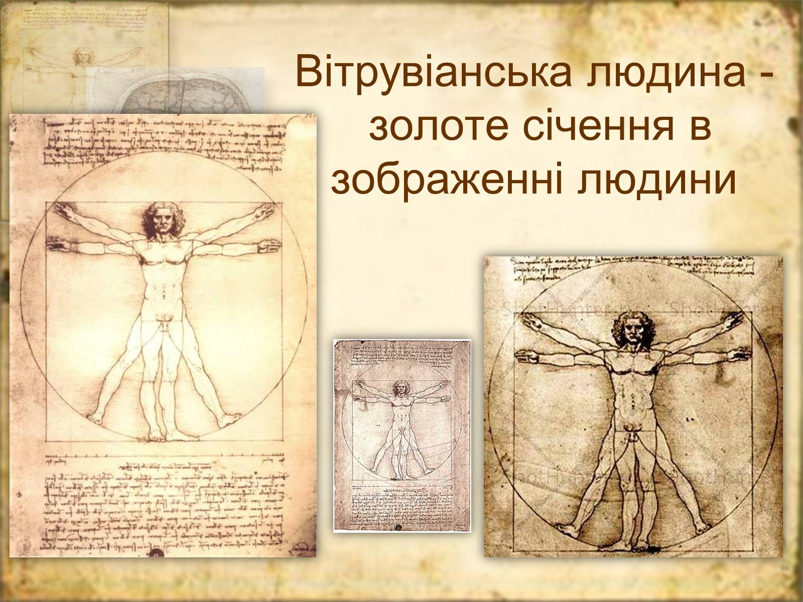 Презентація на тему «Леонардо да Вінчі» (варіант 7) - Слайд #38 Презентація на тему «Леонардо да Вінчі» (варіант 7) - Слайд #38