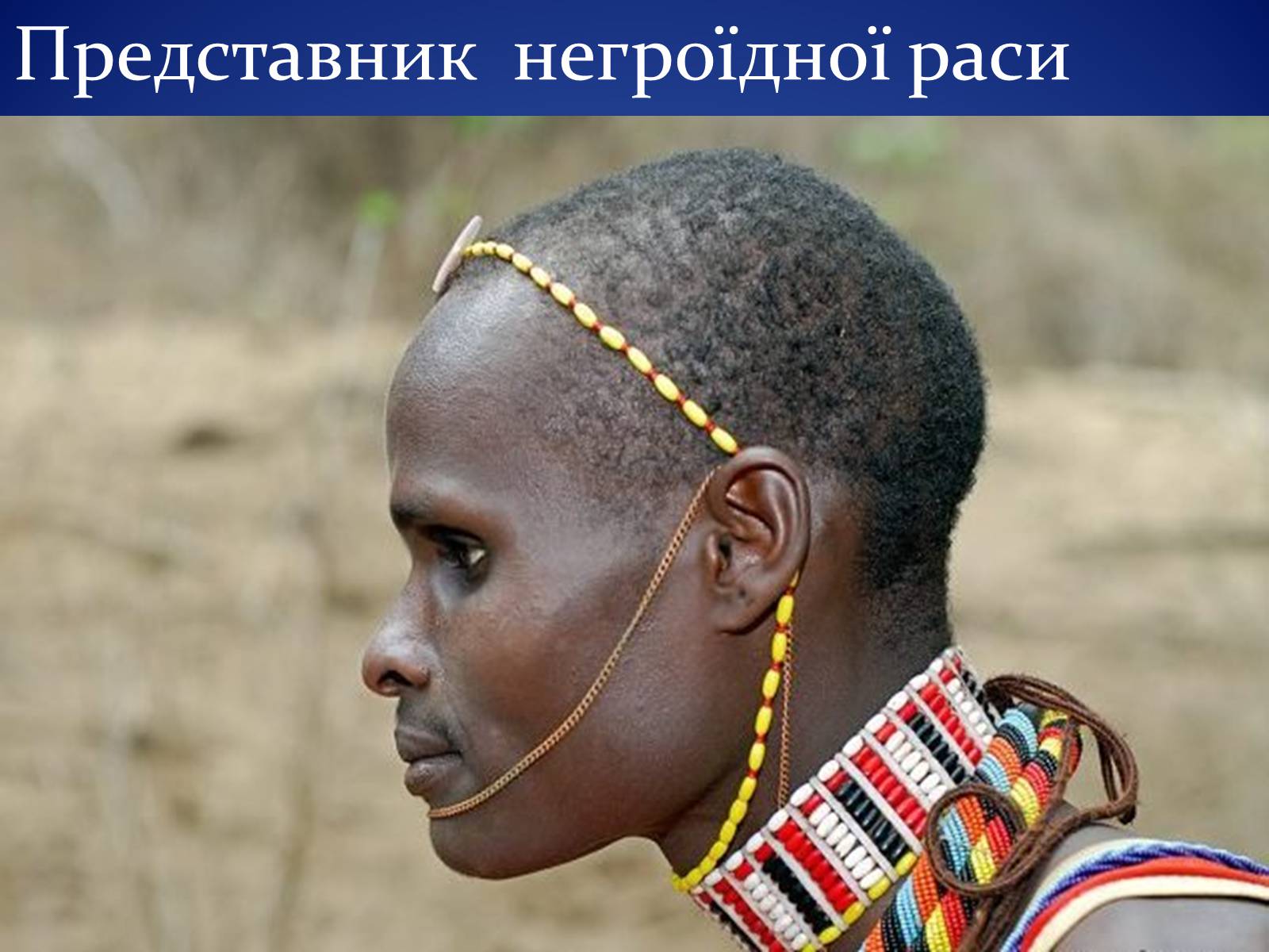 Презентація на тему «Людські раси, рівність рас» - Слайд #6 Презентація на тему «Людські раси, рівність рас» - Слайд #6