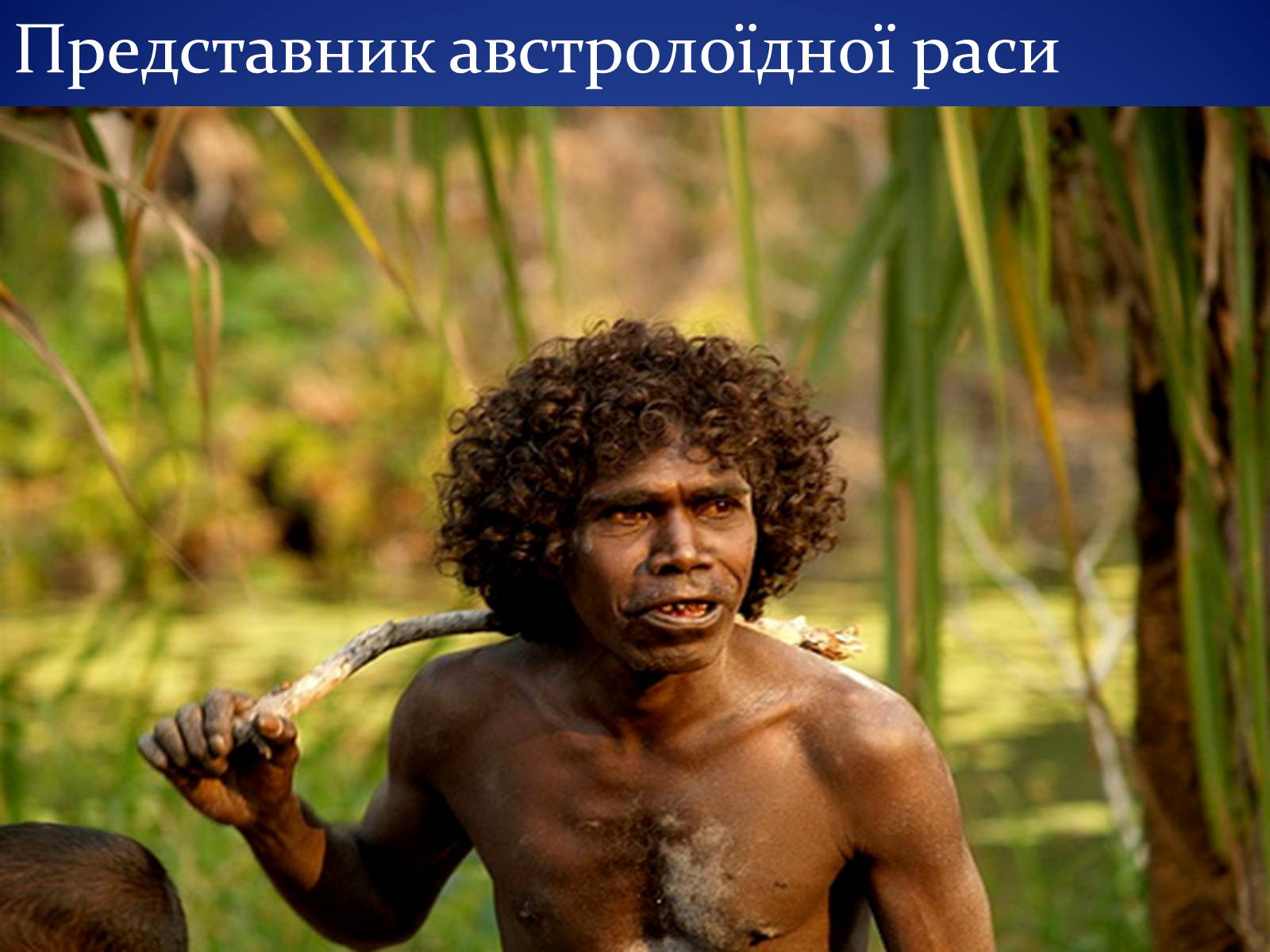 Презентація на тему «Людські раси, рівність рас» - Слайд #7 Презентація на тему «Людські раси, рівність рас» - Слайд #7