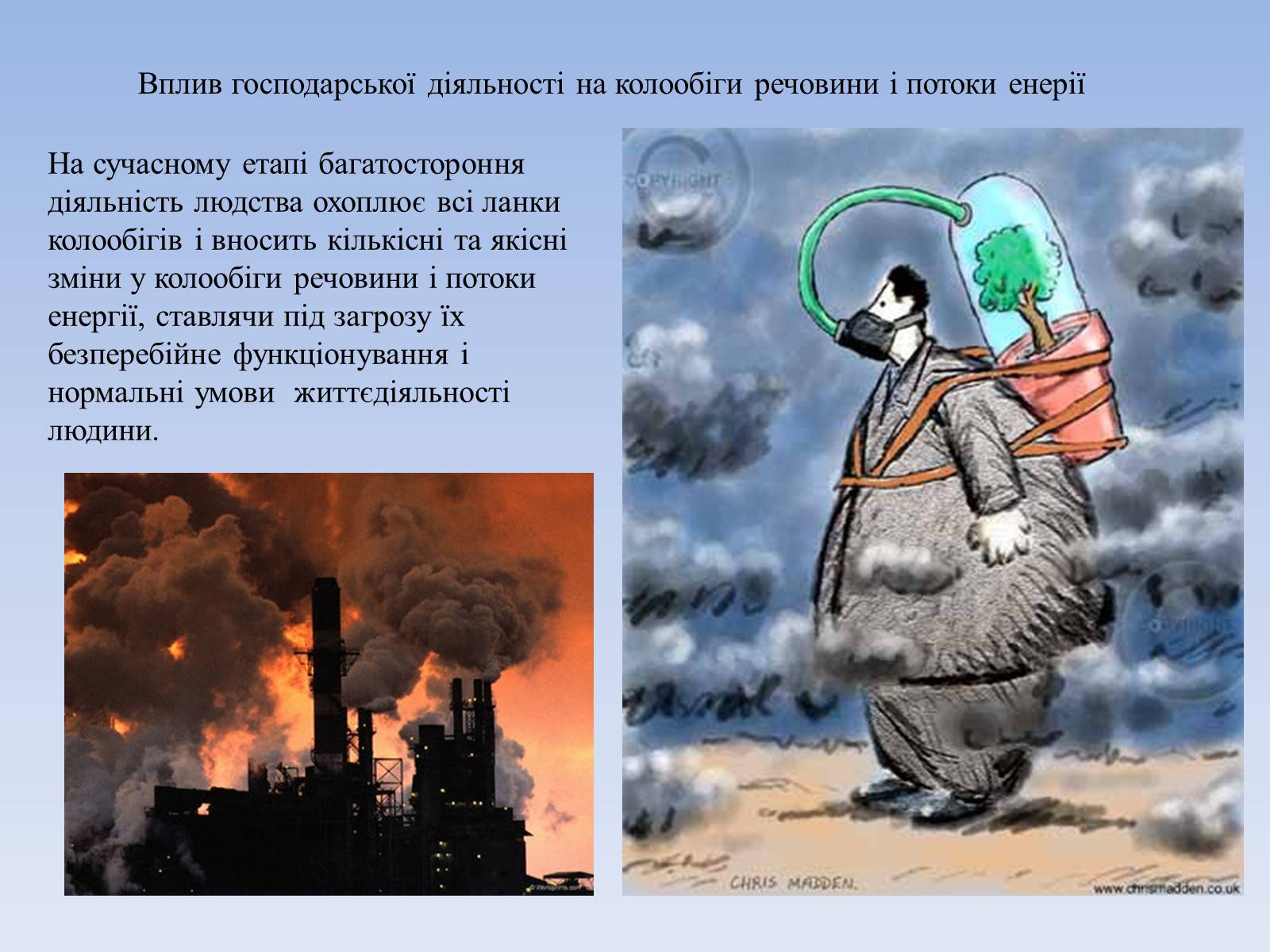 Презентація на тему «Колообіг речовин і потоки енергії як основні системоутворювальні чинники» (варіант 3) - Слайд #11 Презентація на тему «Колообіг речовин і потоки енергії як основні системоутворювальні чинники» (варіант 3) - Слайд #11