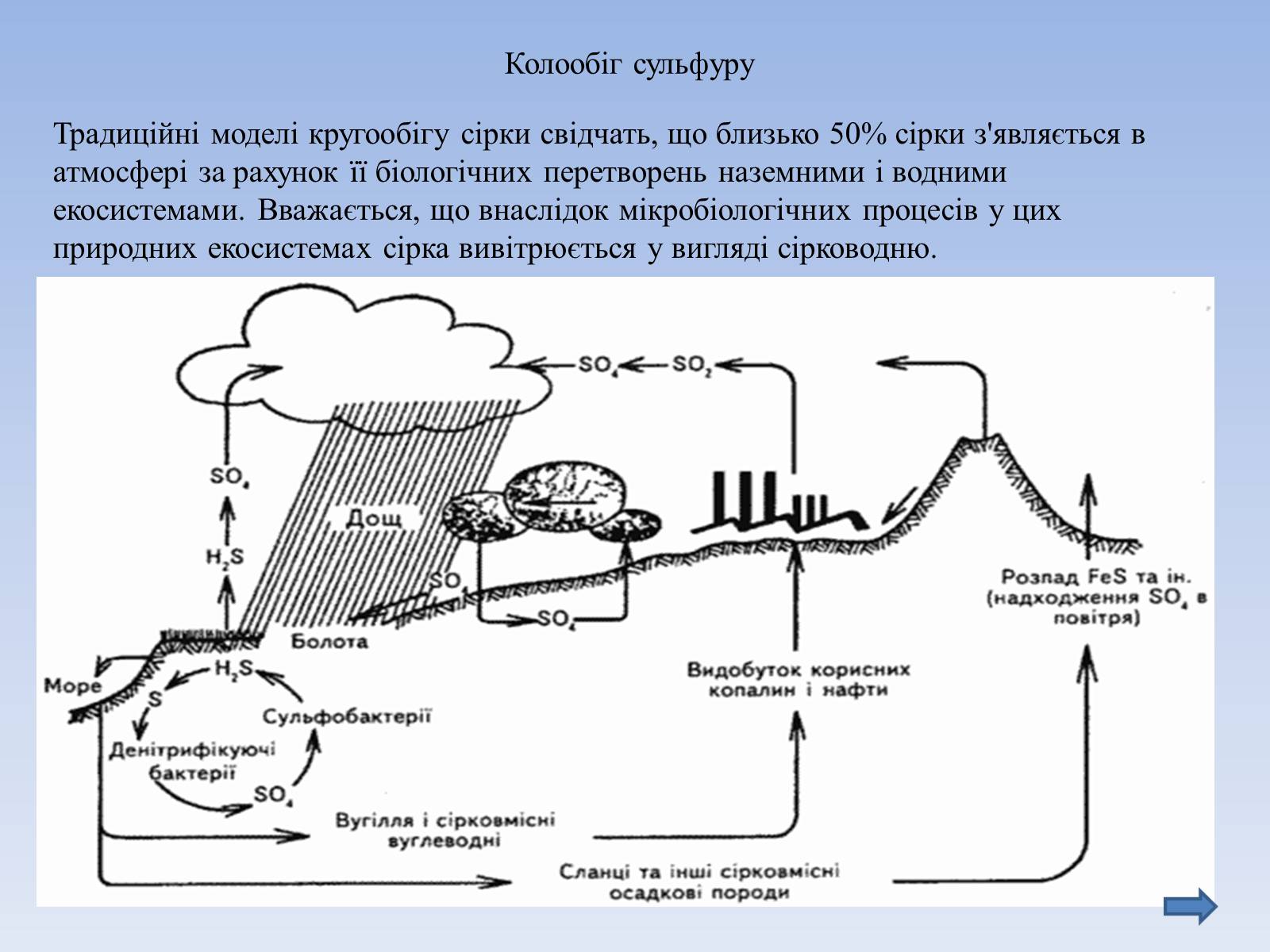 Презентація на тему «Колообіг речовин і потоки енергії як основні системоутворювальні чинники» (варіант 3) - Слайд #9 Презентація на тему «Колообіг речовин і потоки енергії як основні системоутворювальні чинники» (варіант 3) - Слайд #9