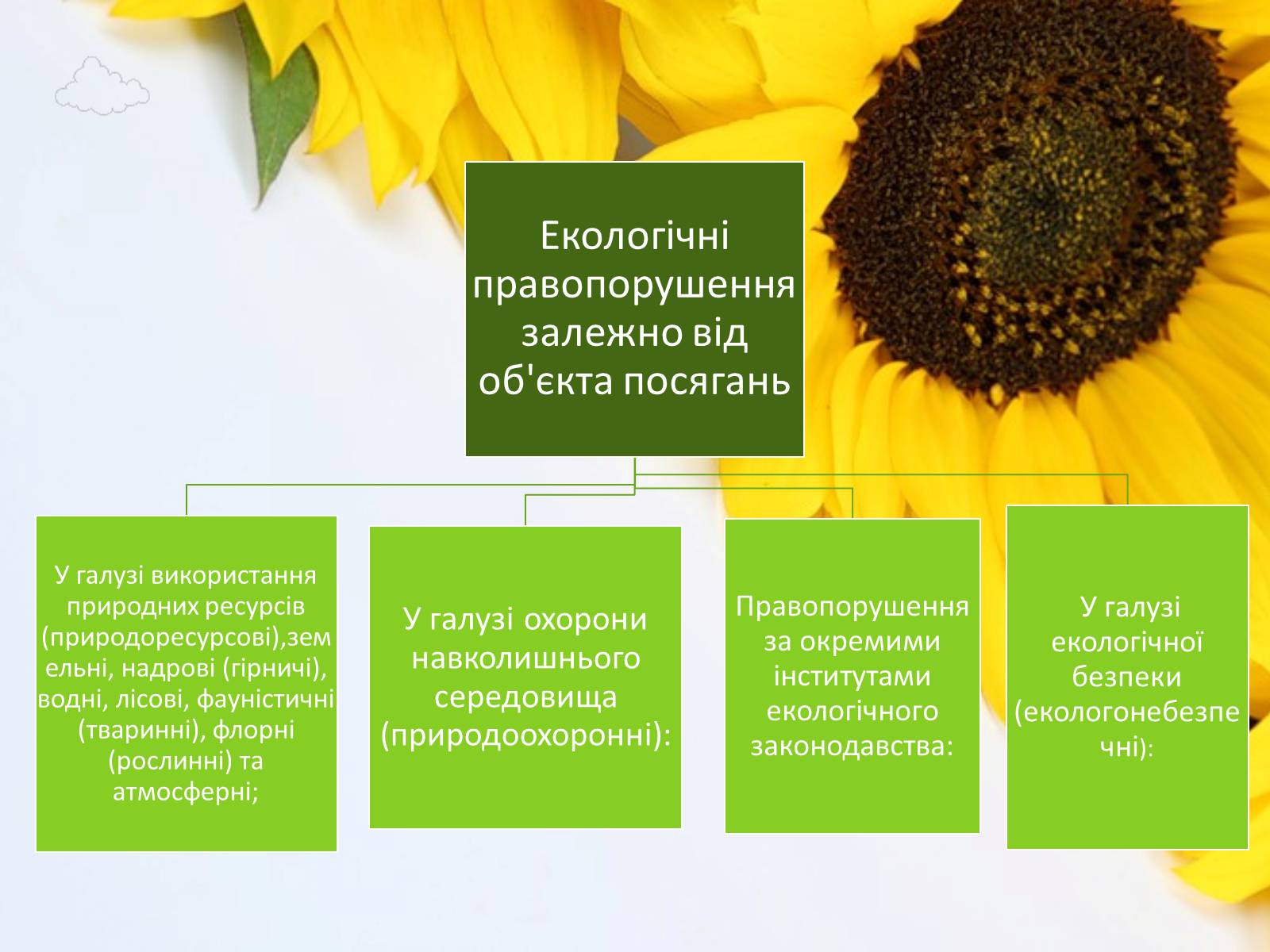 Презентація на тему «Екологічне право в Україні» - Слайд #11 Презентація на тему «Екологічне право в Україні» - Слайд #11