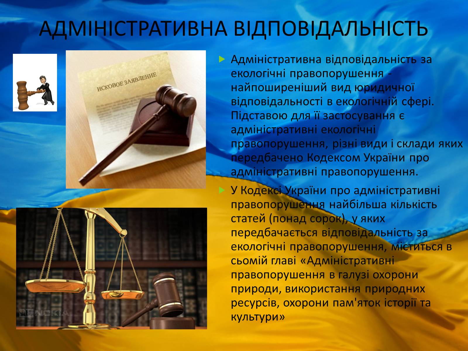 Презентація на тему «Екологічне право в Україні» - Слайд #12 Презентація на тему «Екологічне право в Україні» - Слайд #12
