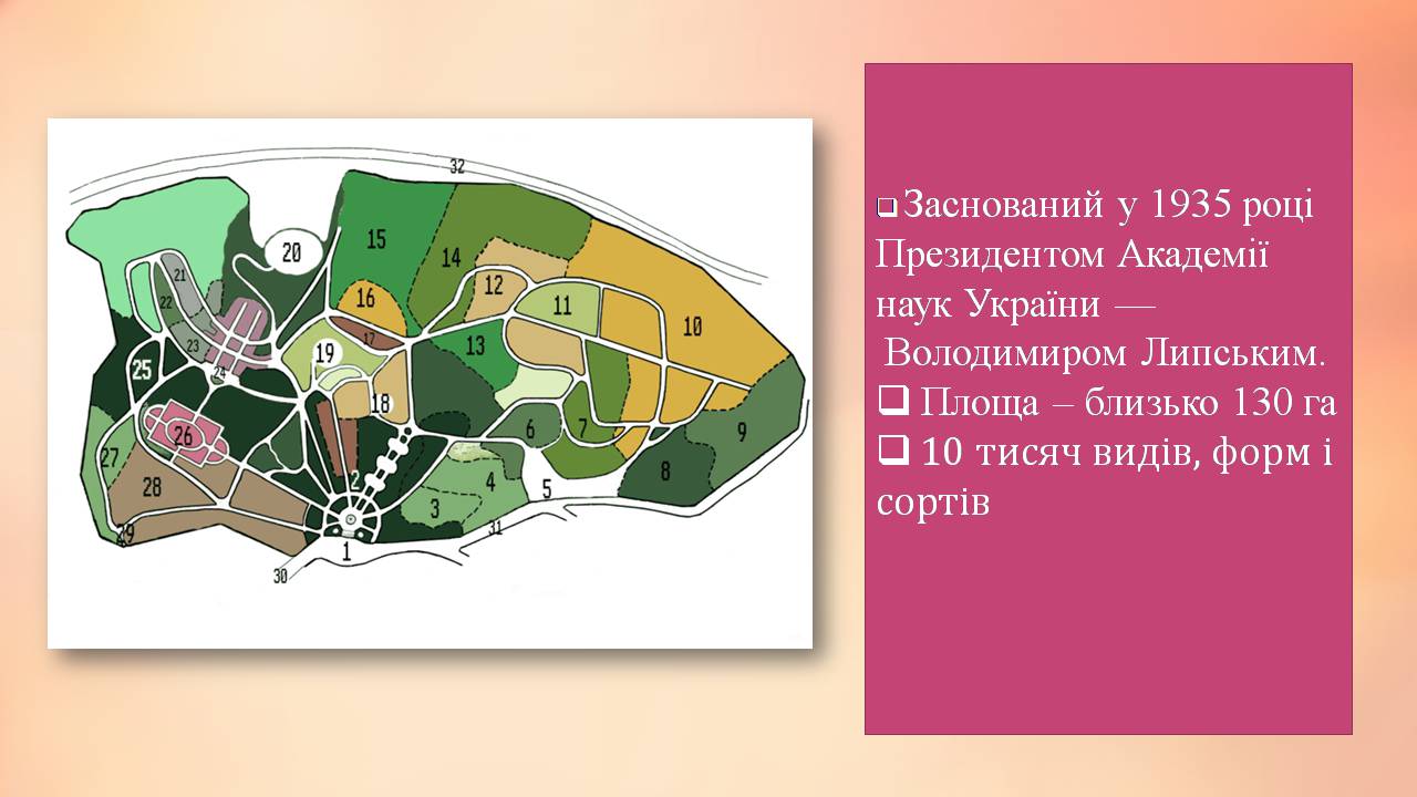 Презентація на тему «Національний ботанічний сад імені Гришка» - Слайд #4 Презентація на тему «Національний ботанічний сад імені Гришка» - Слайд #4
