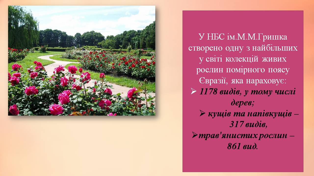 Презентація на тему «Національний ботанічний сад імені Гришка» - Слайд #5 Презентація на тему «Національний ботанічний сад імені Гришка» - Слайд #5