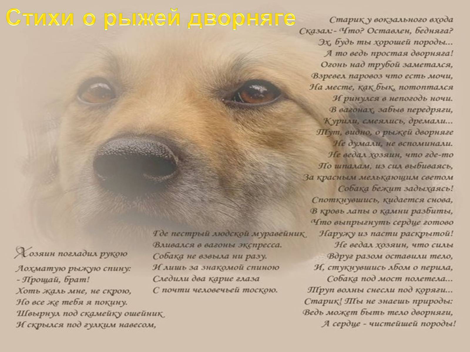 Презентація на тему «Эдуард Асадов» (варіант 2) - Слайд #19 Презентація на тему «Эдуард Асадов» (варіант 2) - Слайд #19