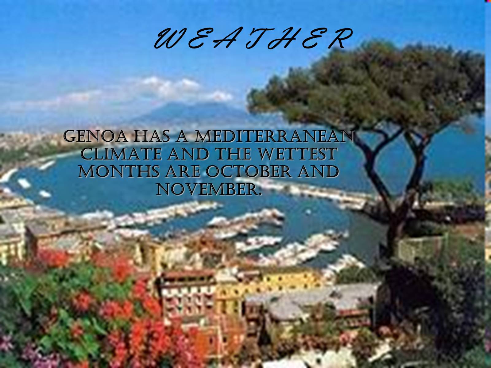 Презентація на тему «The Flood In Genoa» - Слайд #7 Презентація на тему «The Flood In Genoa» - Слайд #7