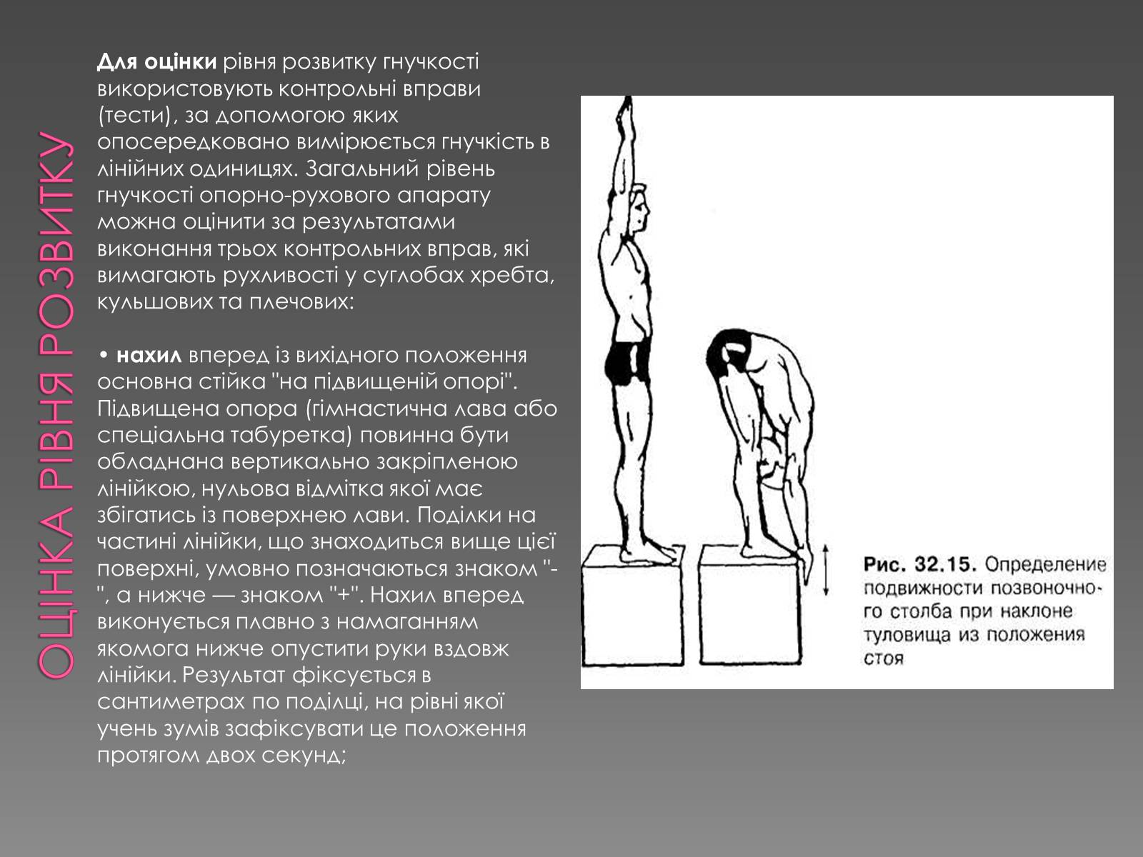 Презентація на тему «Методика розвитку гнучкості» - Слайд #12 Презентація на тему «Методика розвитку гнучкості» - Слайд #12
