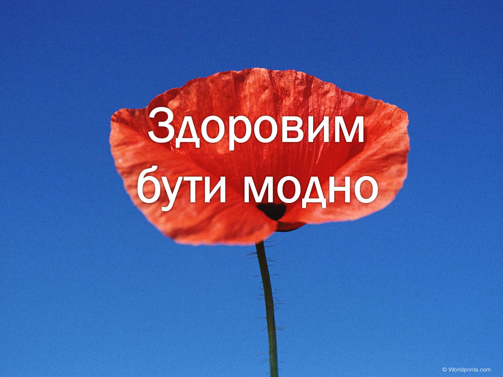 Презентація на тему «Здоровим бути модно» - Слайд #1 Презентація на тему «Здоровим бути модно» - Слайд #1