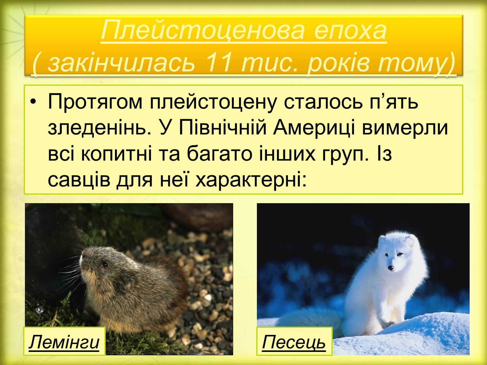 Презентація на тему «Історичний розвиток органічного світу» (варіант 2) - Слайд #20 Презентація на тему «Історичний розвиток органічного світу» (варіант 2) - Слайд #20