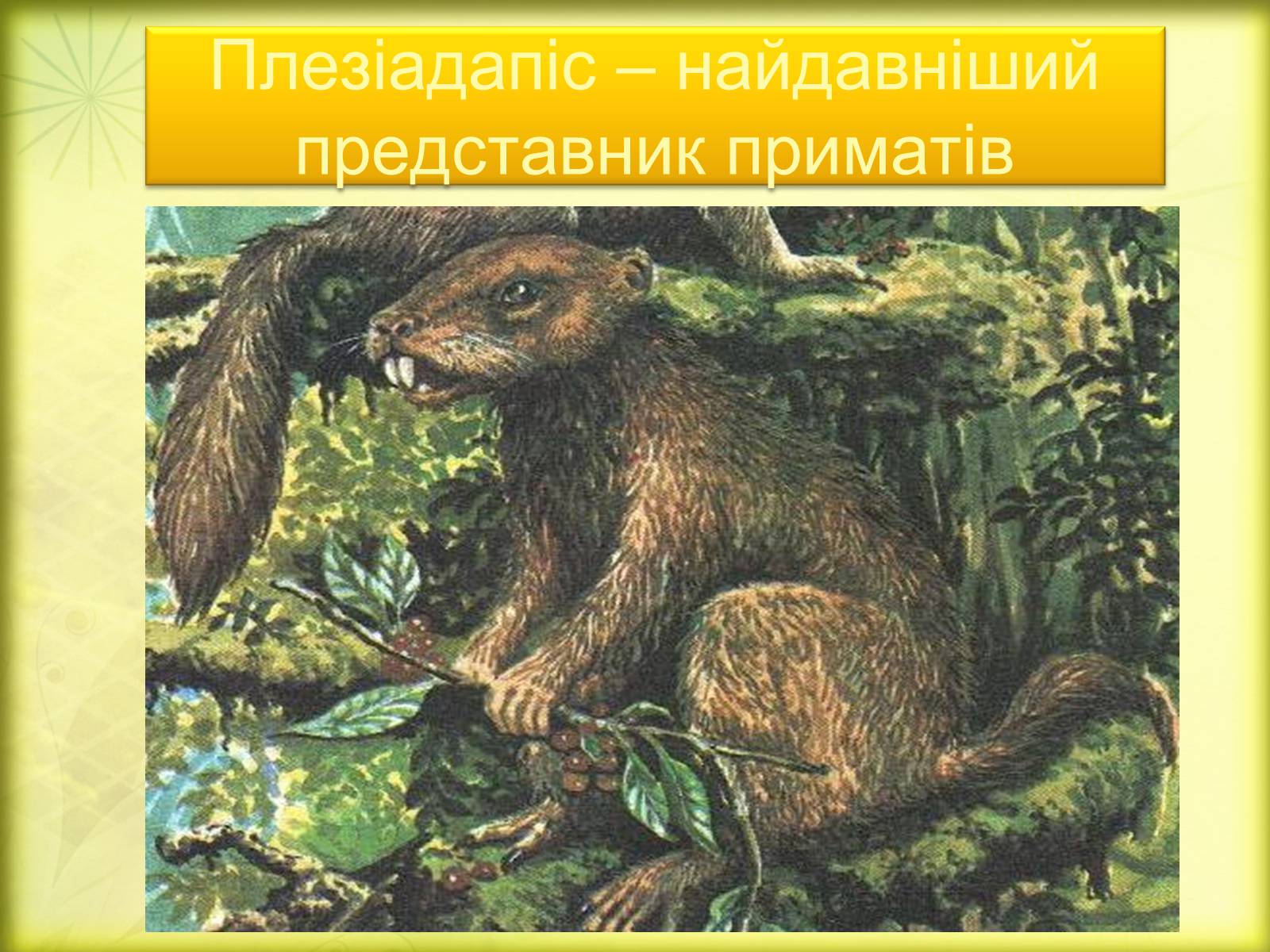 Презентація на тему «Історичний розвиток органічного світу» (варіант 2) - Слайд #6 Презентація на тему «Історичний розвиток органічного світу» (варіант 2) - Слайд #6