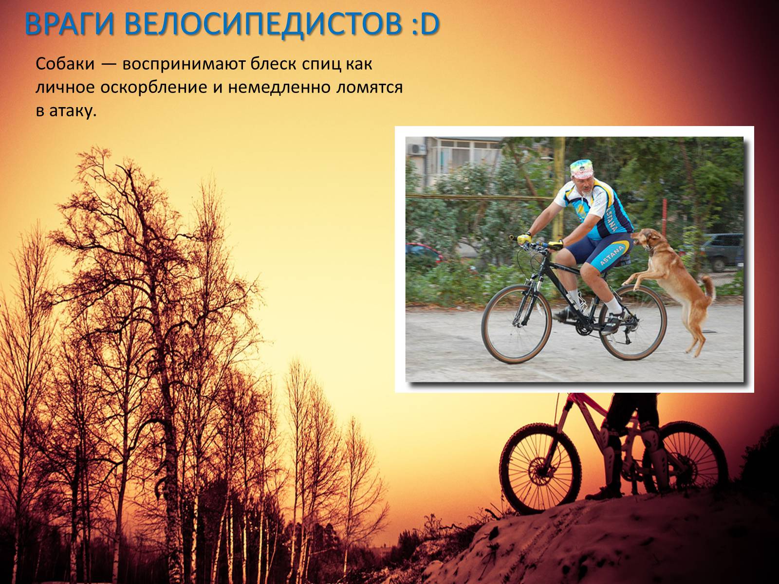 Презентація на тему «Велосипед. Виды. Стили езды» - Слайд #19 Презентація на тему «Велосипед. Виды. Стили езды» - Слайд #19