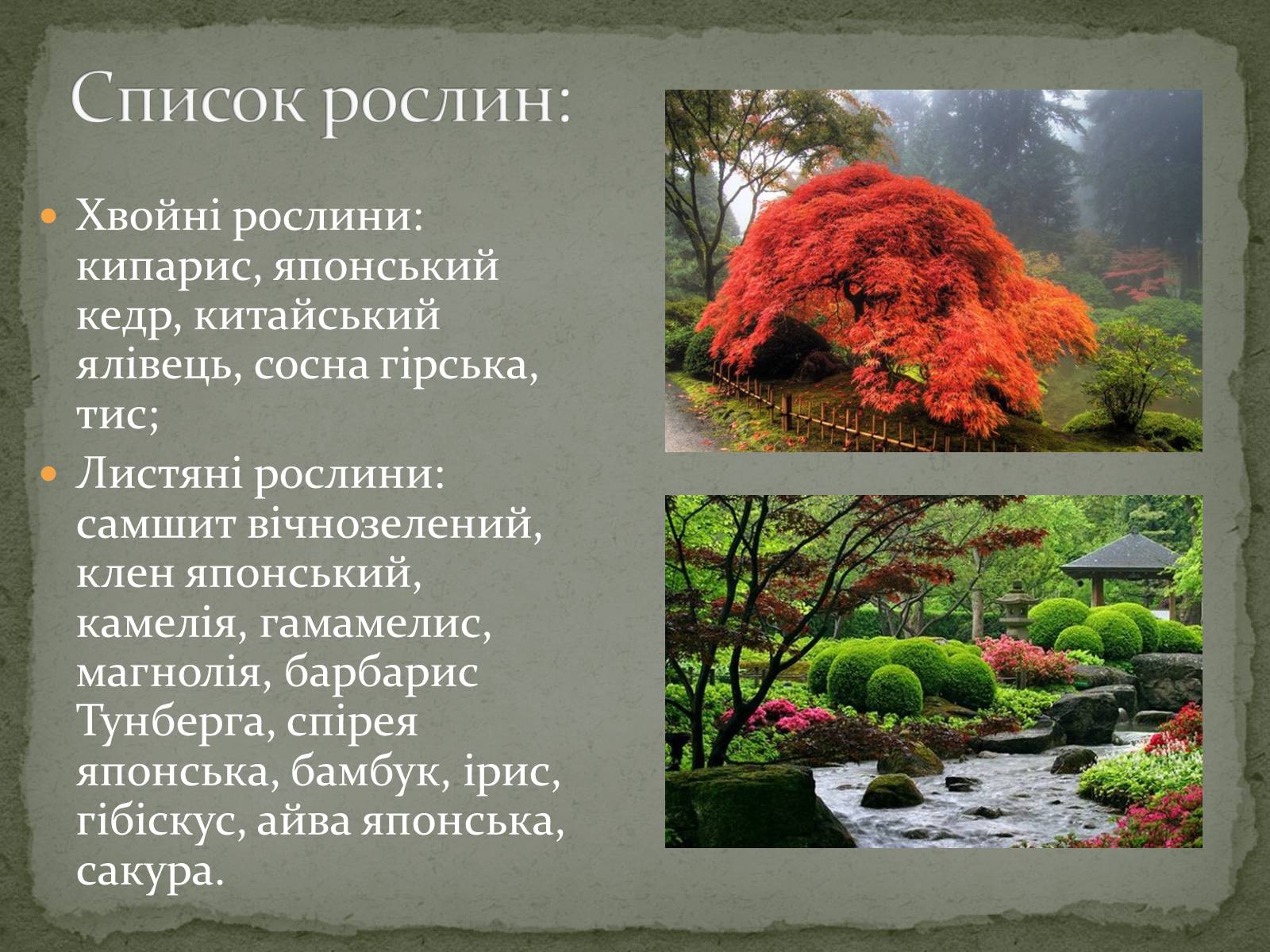 Презентація на тему «Японський сад» (варіант 1) - Слайд #8 Презентація на тему «Японський сад» (варіант 1) - Слайд #8