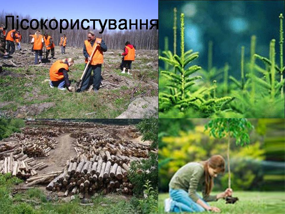 Презентація на тему «Екологічні проблеми» (варіант 16) - Слайд #17 Презентація на тему «Екологічні проблеми» (варіант 16) - Слайд #17