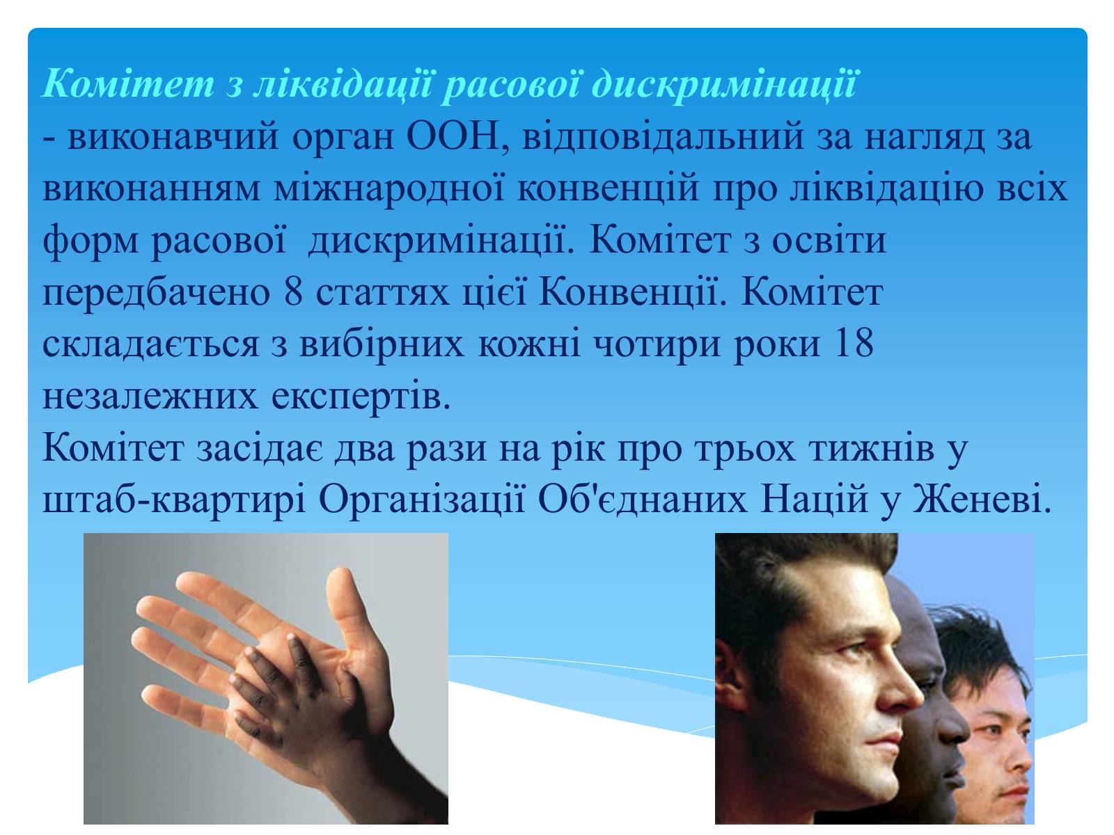 Презентація на тему «Міжнародні механізми захисту прав людини» (варіант 1) - Слайд #14 Презентація на тему «Міжнародні механізми захисту прав людини» (варіант 1) - Слайд #14
