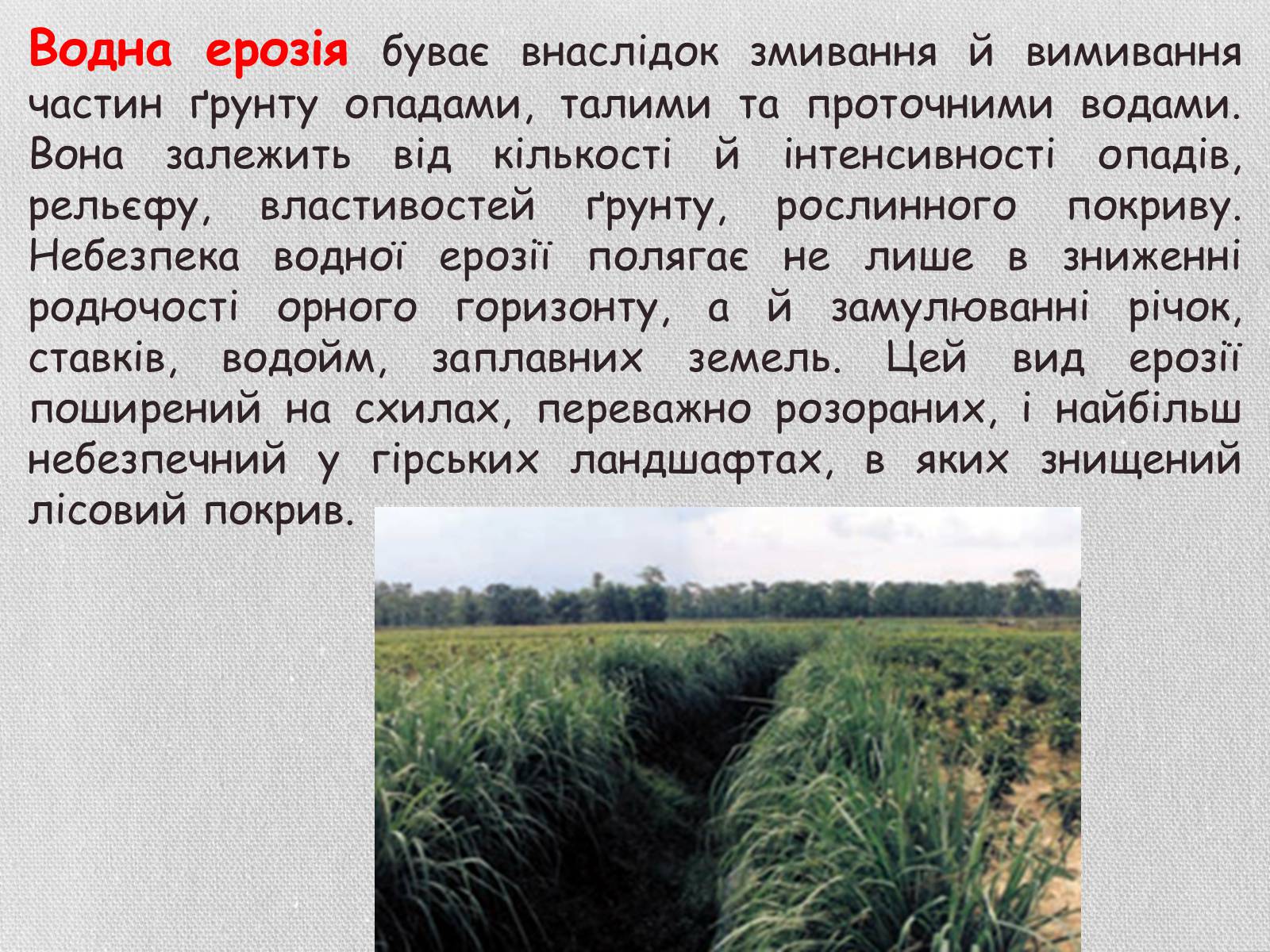 Презентація на тему «Деградація грунтів України» - Слайд #10 Презентація на тему «Деградація грунтів України» - Слайд #10