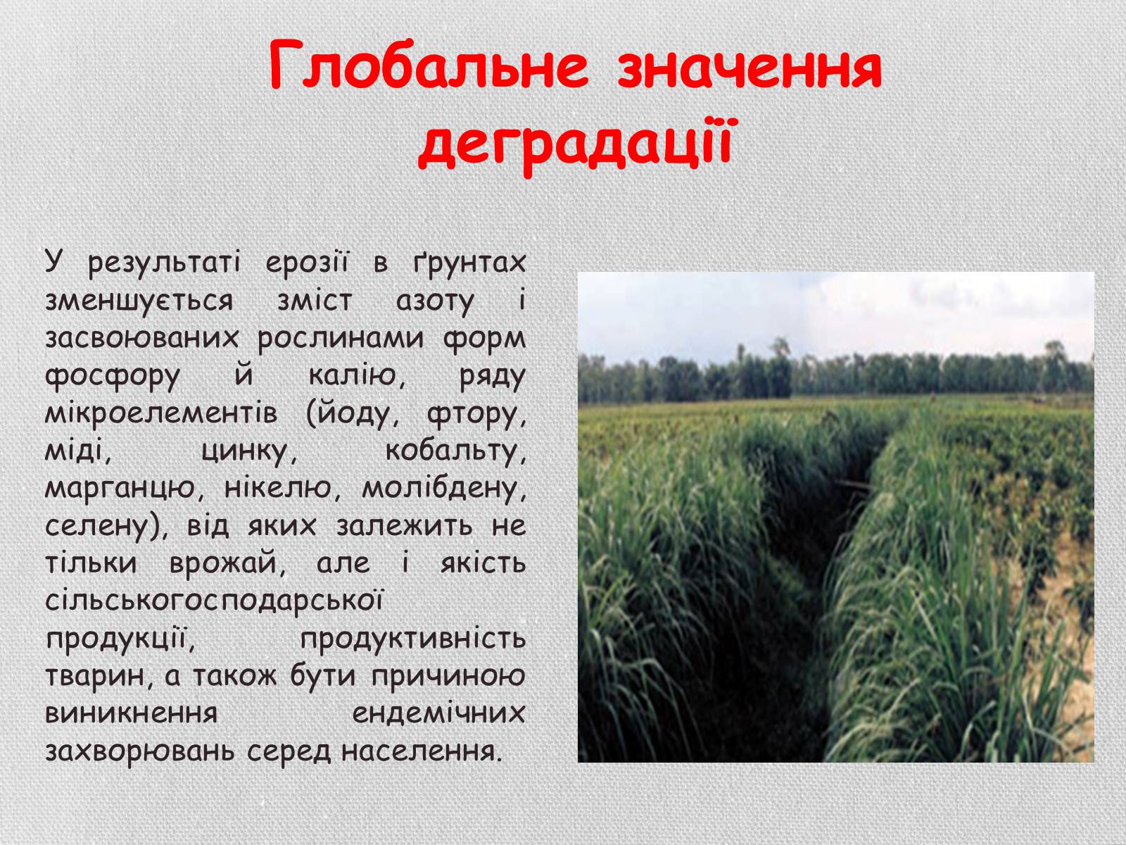 Презентація на тему «Деградація грунтів України» - Слайд #18 Презентація на тему «Деградація грунтів України» - Слайд #18