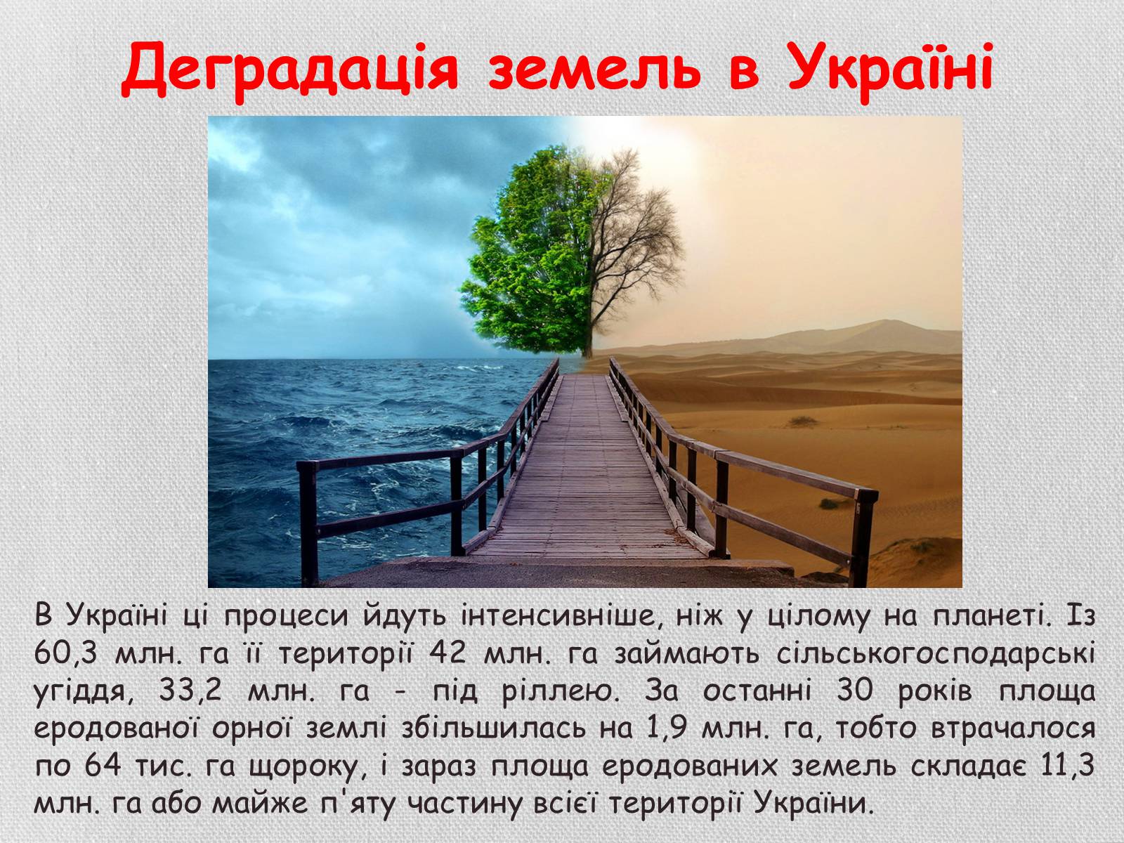 Презентація на тему «Деградація грунтів України» - Слайд #21 Презентація на тему «Деградація грунтів України» - Слайд #21