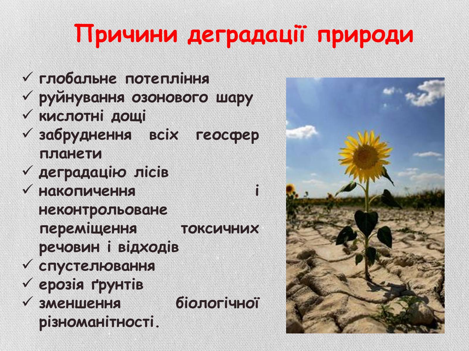 Презентація на тему «Деградація грунтів України» - Слайд #6 Презентація на тему «Деградація грунтів України» - Слайд #6