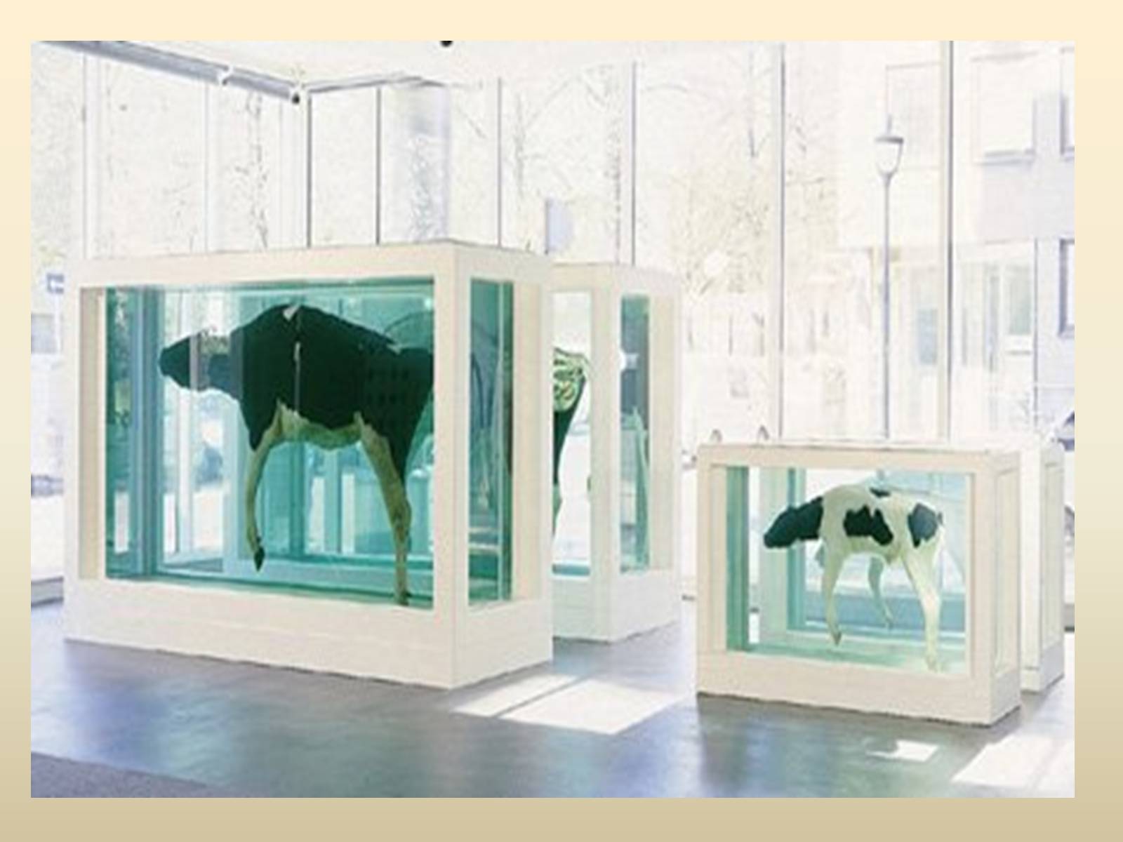 Презентація на тему «Damien Hirst» - Слайд #11 Презентація на тему «Damien Hirst» - Слайд #11