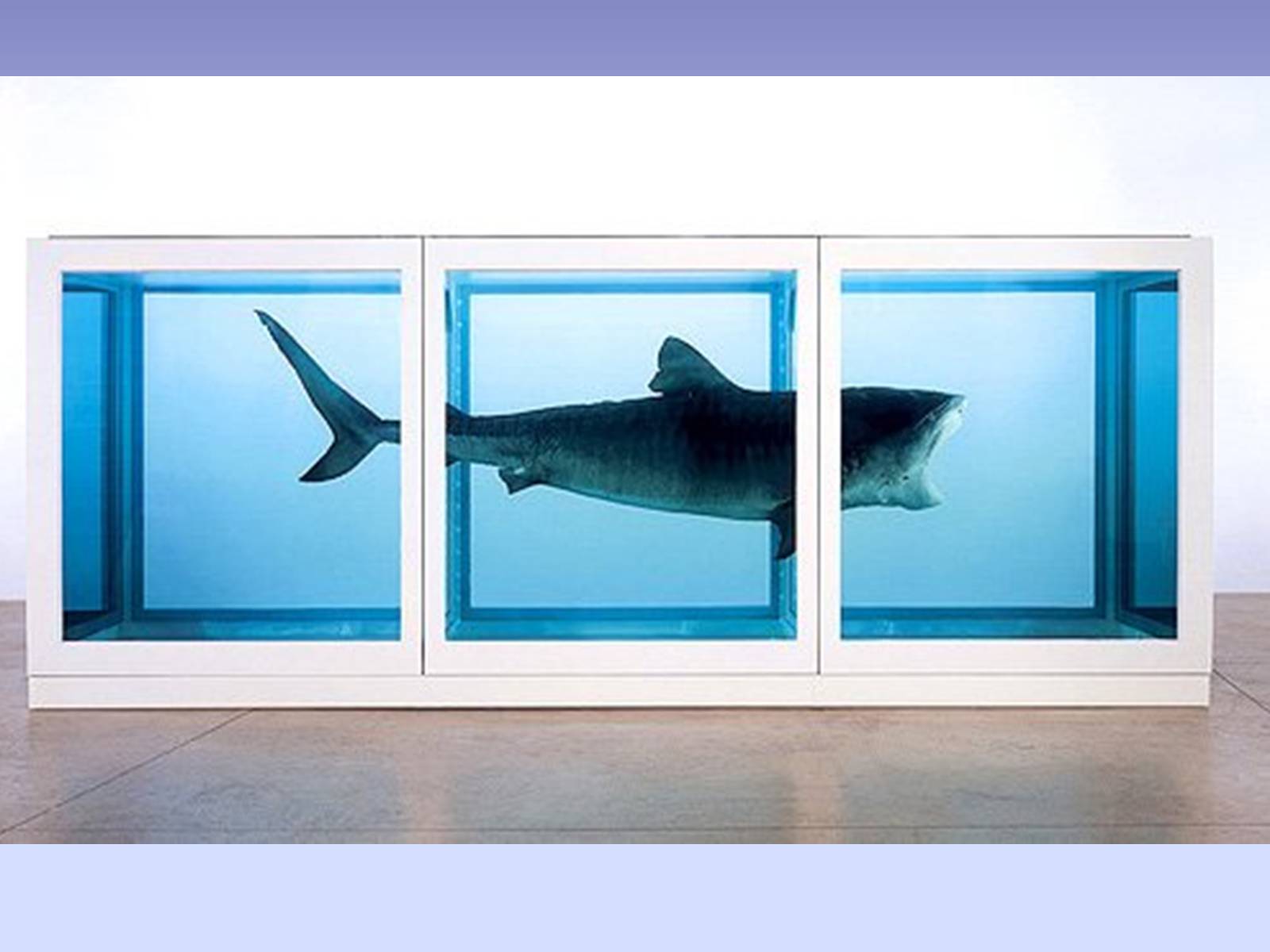 Презентація на тему «Damien Hirst» - Слайд #12 Презентація на тему «Damien Hirst» - Слайд #12