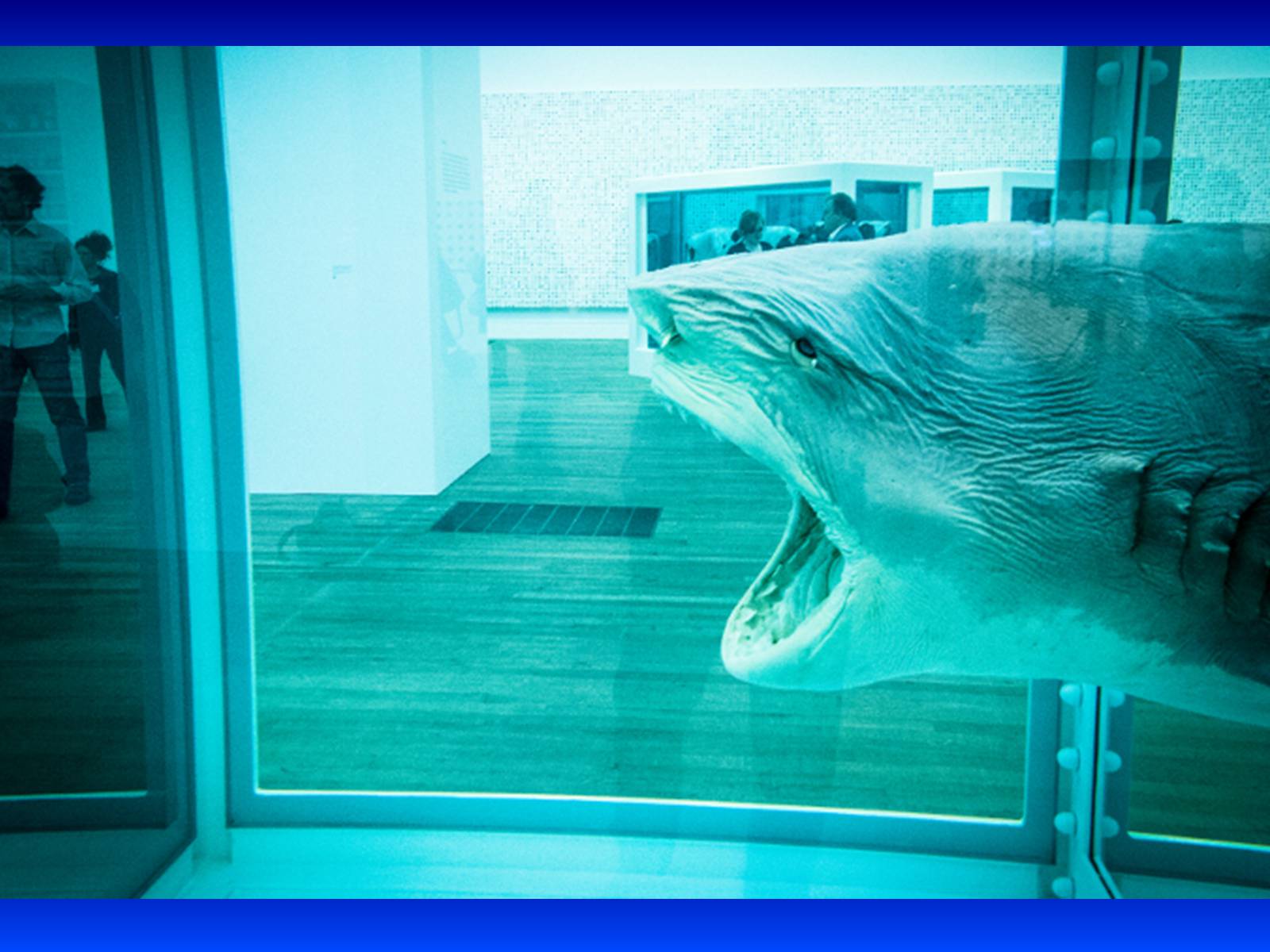Презентація на тему «Damien Hirst» - Слайд #13 Презентація на тему «Damien Hirst» - Слайд #13