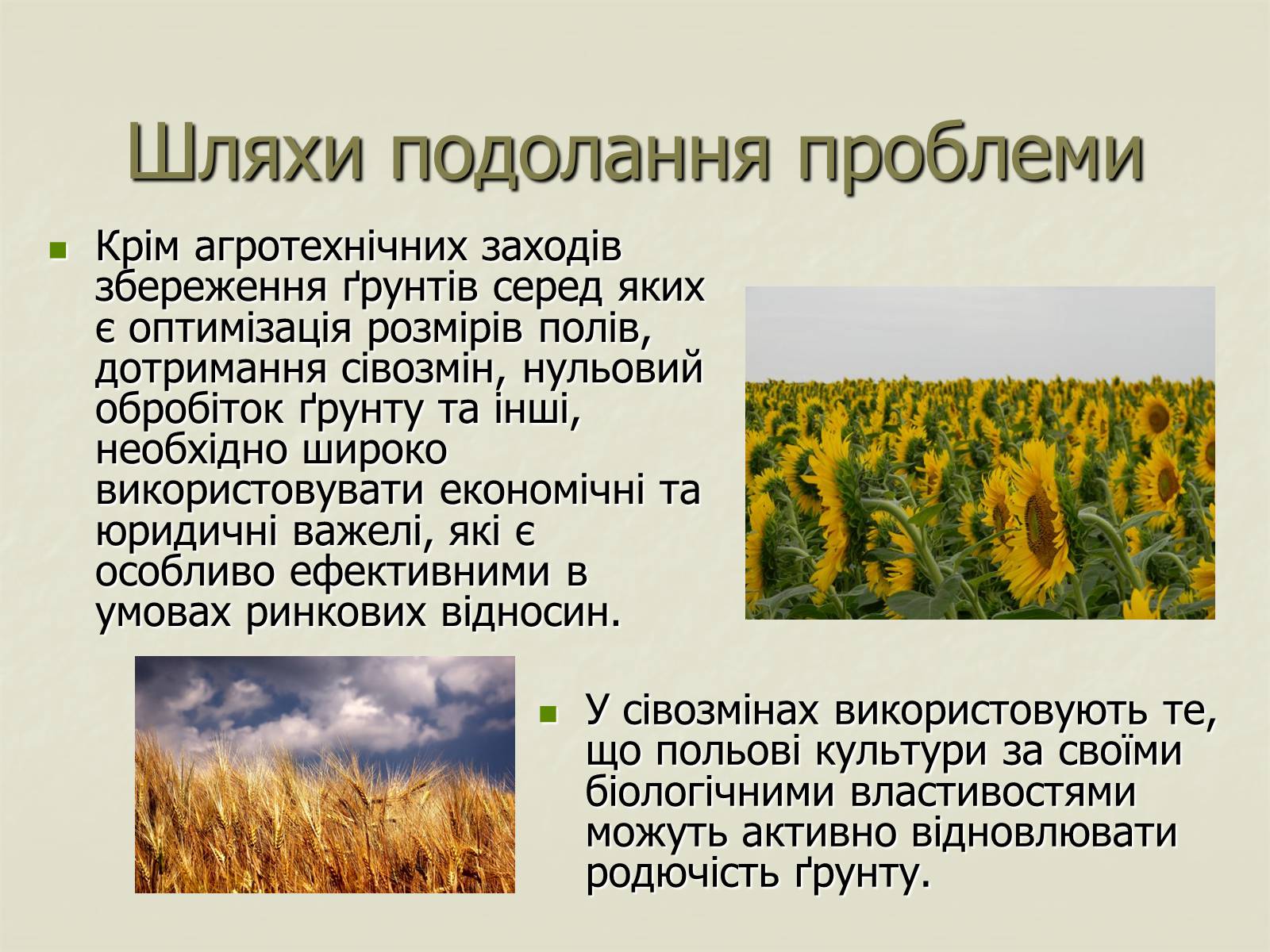Презентація на тему «Деградація природи. Деградація ґрунтів» - Слайд #12 Презентація на тему «Деградація природи. Деградація ґрунтів» - Слайд #12