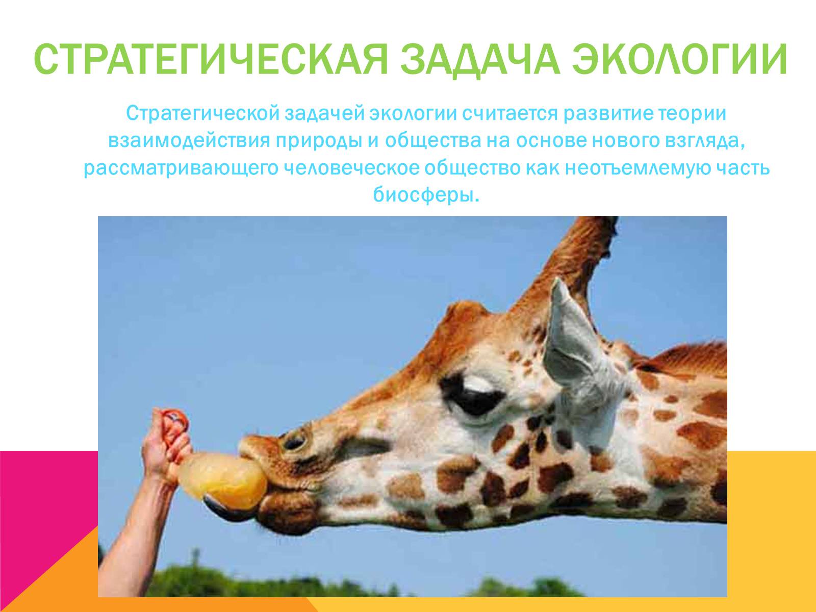 Презентація на тему «Экология, как наука: ее предмет и задачи» - Слайд #10 Презентація на тему «Экология, как наука: ее предмет и задачи» - Слайд #10