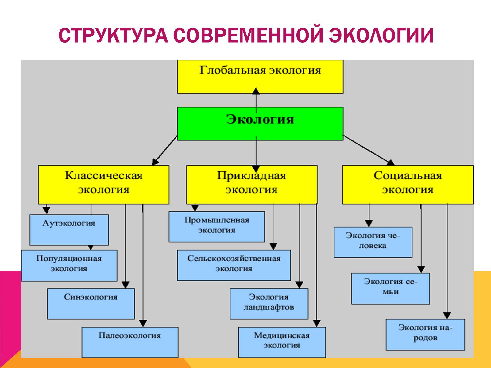 Презентація на тему «Экология, как наука: ее предмет и задачи» - Слайд #14 Презентація на тему «Экология, как наука: ее предмет и задачи» - Слайд #14