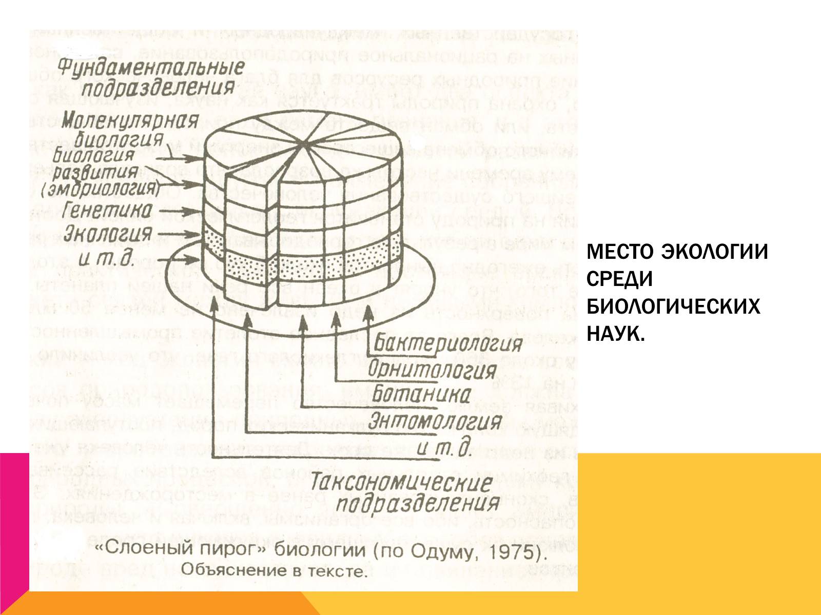 Презентація на тему «Экология, как наука: ее предмет и задачи» - Слайд #16 Презентація на тему «Экология, как наука: ее предмет и задачи» - Слайд #16