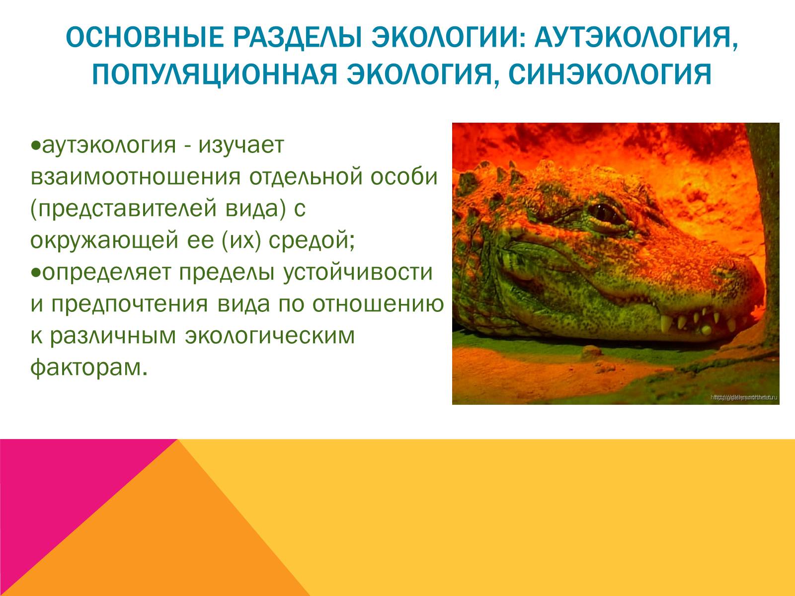 Презентація на тему «Экология, как наука: ее предмет и задачи» - Слайд #19 Презентація на тему «Экология, как наука: ее предмет и задачи» - Слайд #19