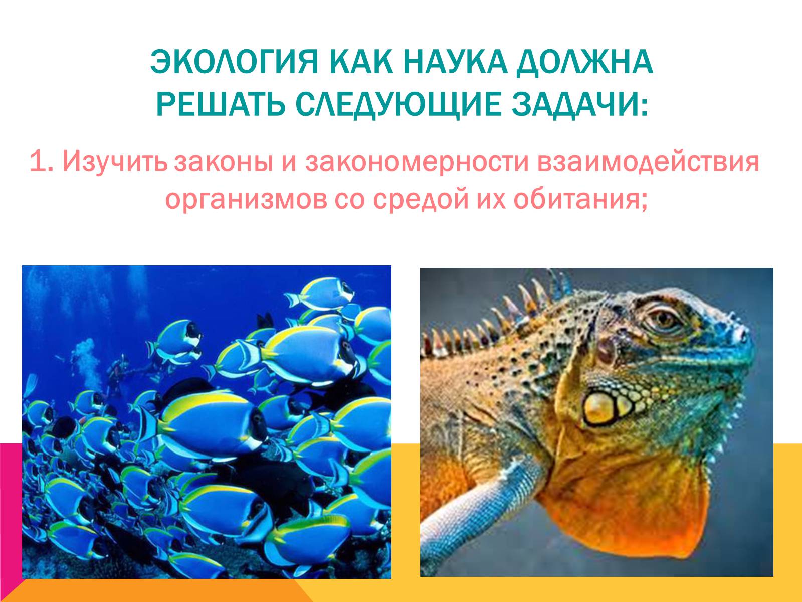 Презентація на тему «Экология, как наука: ее предмет и задачи» - Слайд #7 Презентація на тему «Экология, как наука: ее предмет и задачи» - Слайд #7